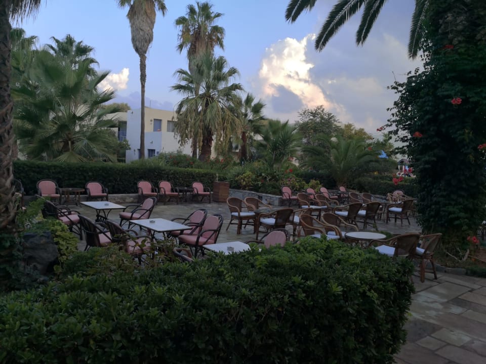 Gartenanlage Dessole Dolphin Bay Resort