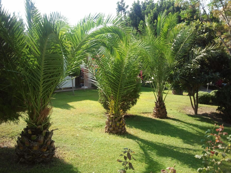 Garten Marvida Family Eco