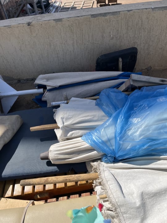 Gartenanlage Royal Star Beach Resort