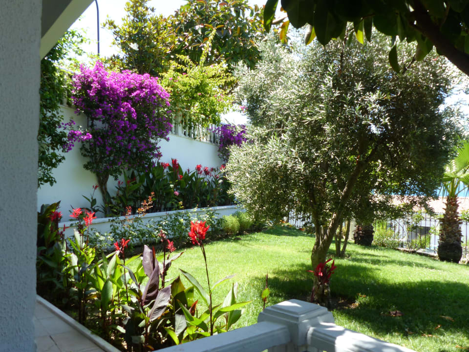 Aussicht von der Poolbar Alba Queen Hotel