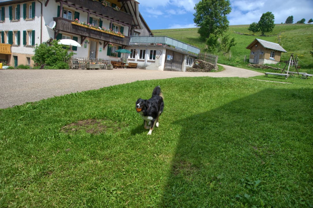 Außenansicht Bauernhof Itzenwaldhof