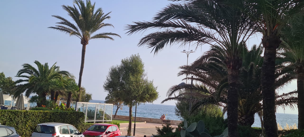 Ausblick Hipotels Dunas Cala Millor