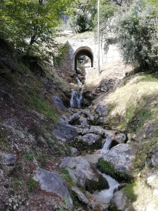 Gartenanlage Centro Vacanze La Limonaia