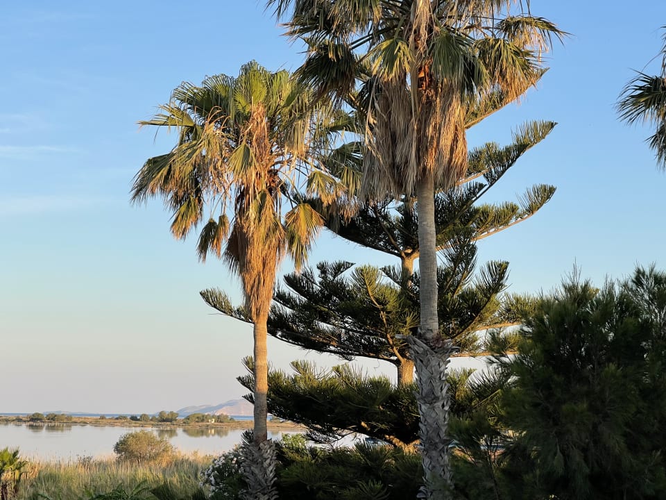 Ausblick Hotel Tigaki's Star