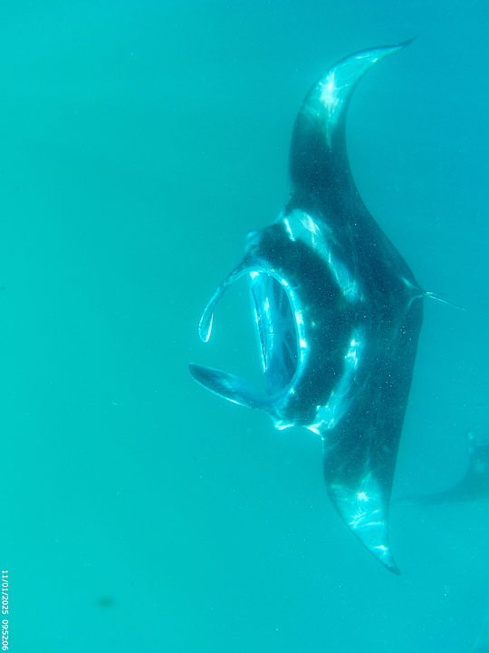 Sport & Freizeit Dreamland The Unique Sea & Lake Resort / Spa