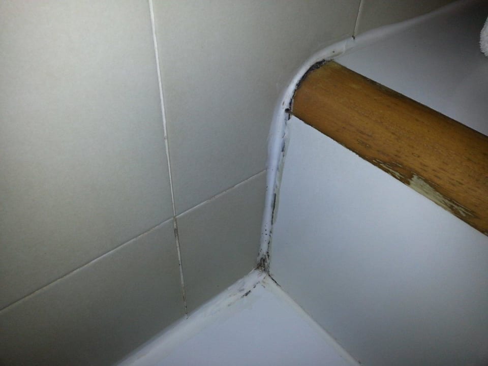 Schimmel Hotel Dante