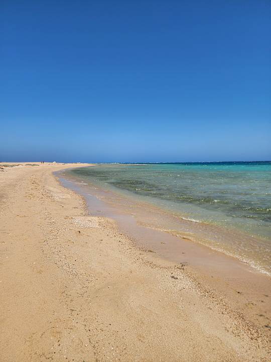 Ausblick SUNRISE Anjum Resort Marsa Alam