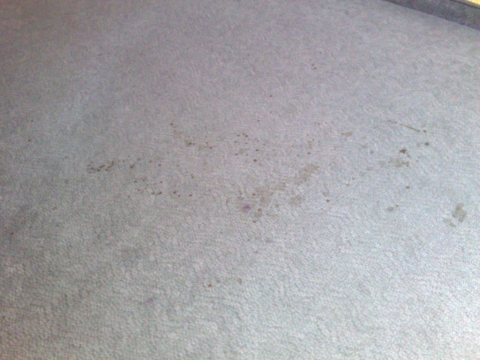 Flecken auf dem Teppich Hotel Löwen