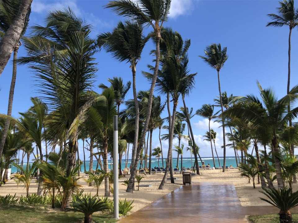 Strand Hotel Riu Bambu