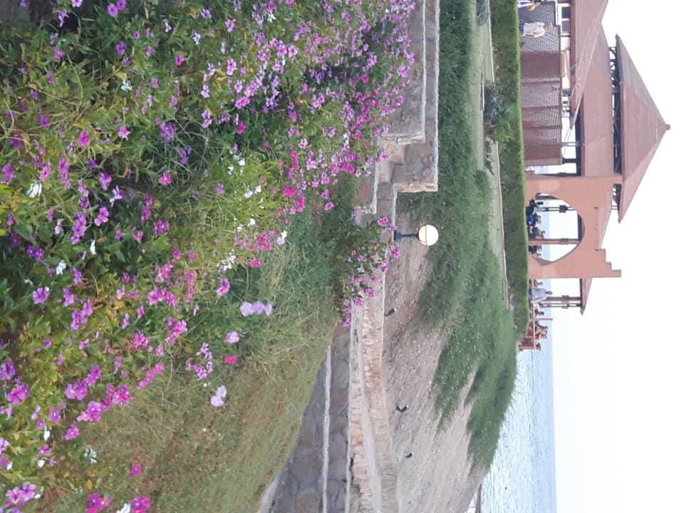 Blick auf die Panoramabar Three Corners Equinox Beach Resort