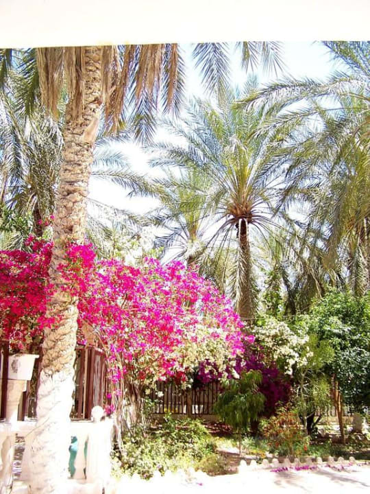 Restaurace Hotel Le Saharien Paradise