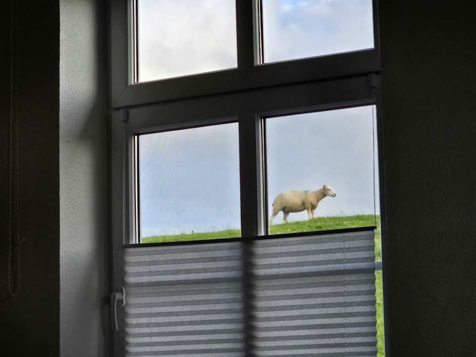 Ausblick Ferienhaus Hemenswarft direkt an der Nordsee mit Meerblick
