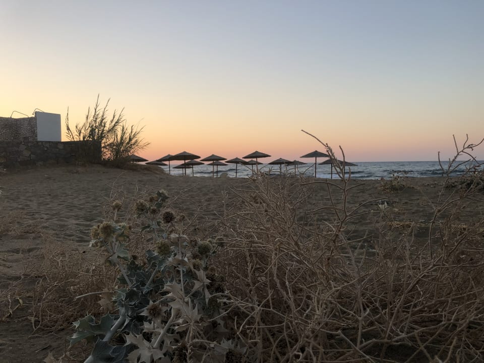 Strand allsun Hotel Carolina Mare