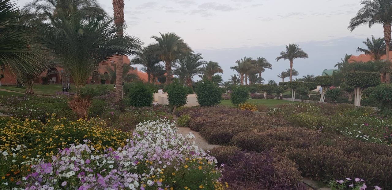 Außenansicht Novotel Marsa Alam Beach Resort