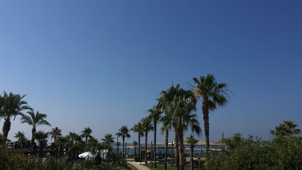 Ausblick TUI BLUE Palm Garden
