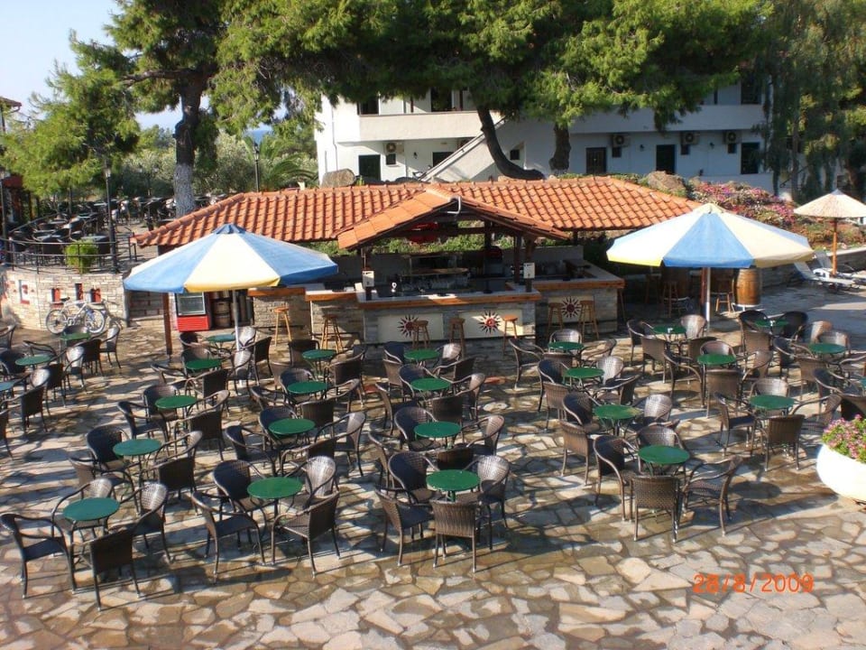 Poolbar Blue Dolphin Resort Hotel
