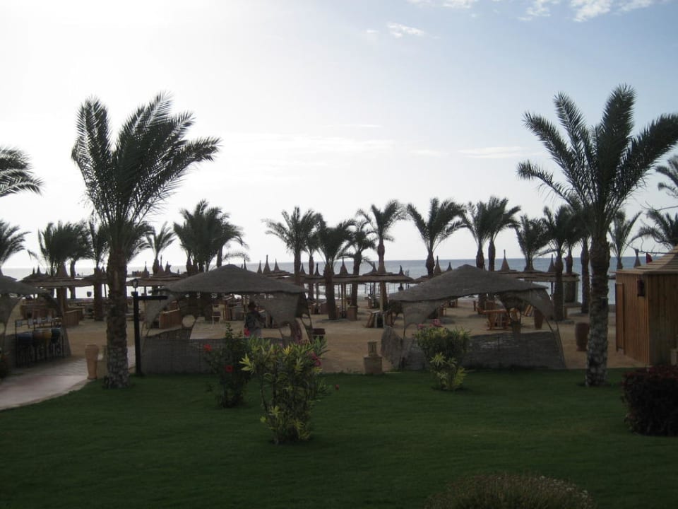 Gartenanlage Pickalbatros Palace Resort
