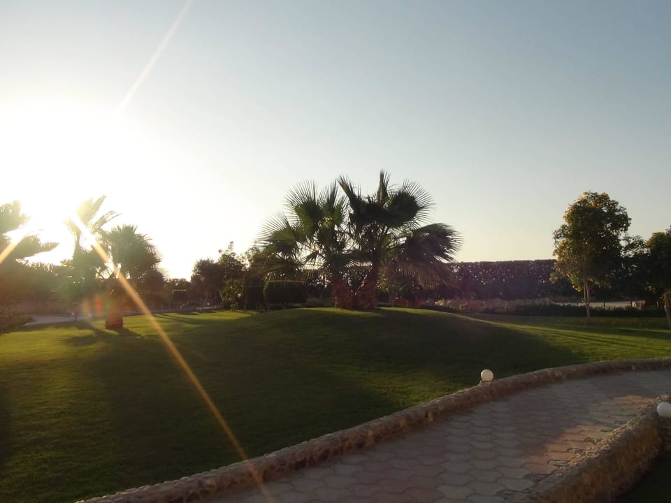 Ogród Three Corners Sea Beach Resort