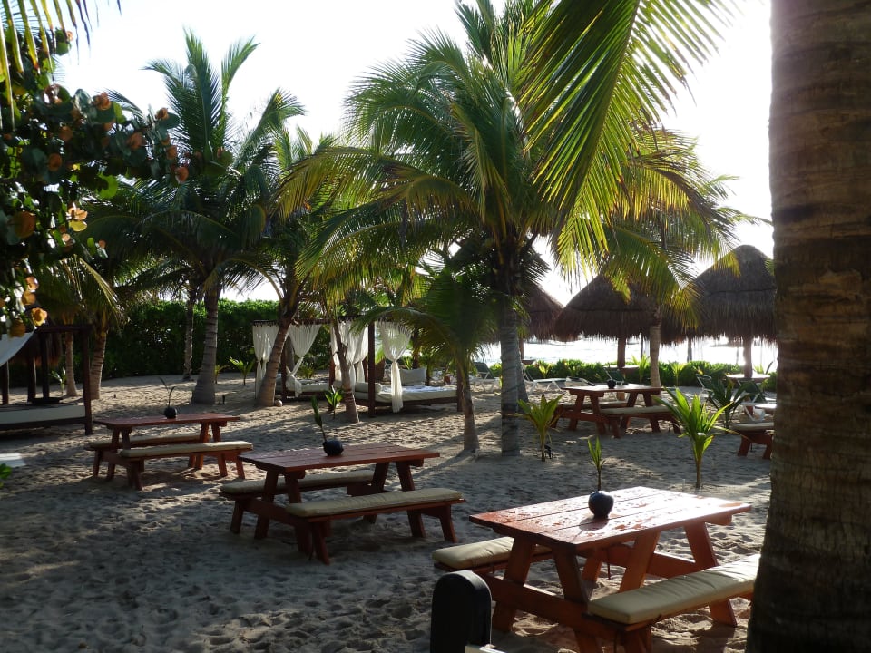 Sensimar Bar und Strand El Dorado Royale