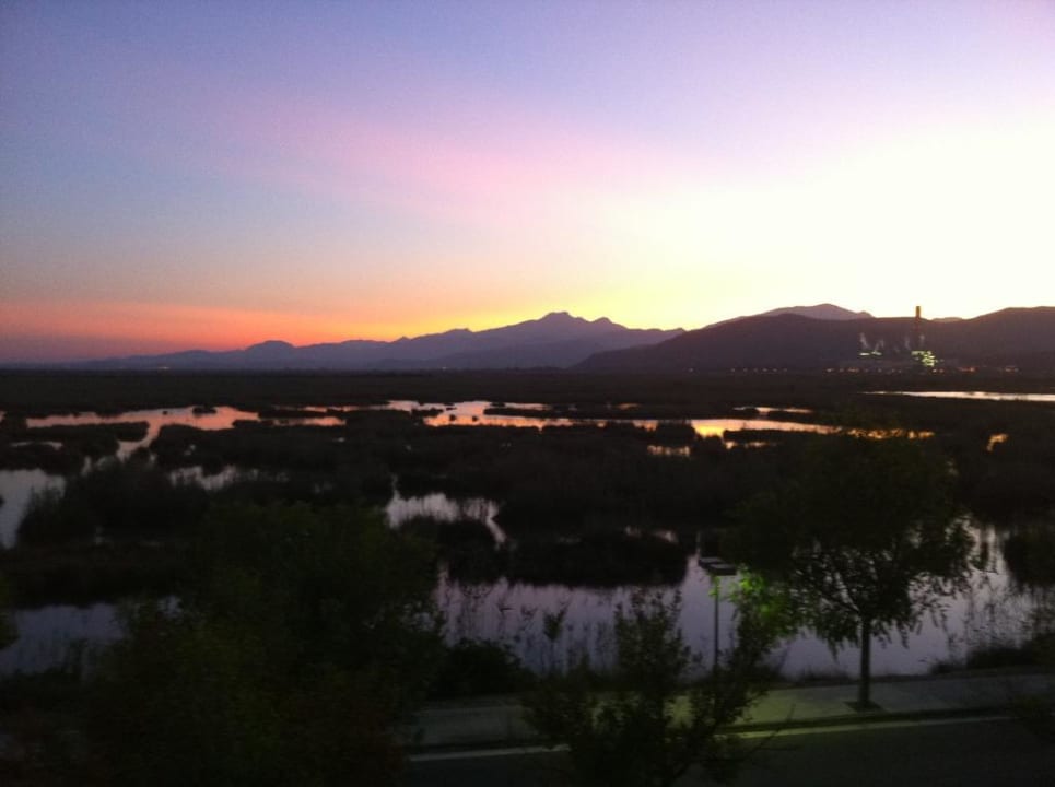 Blick vom Balkon - Landseite (Naturpark Albufera) Prinsotel La Dorada