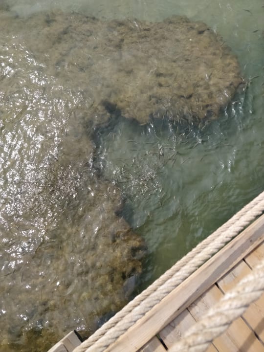 Vom Steg VONRESORT Golden Beach