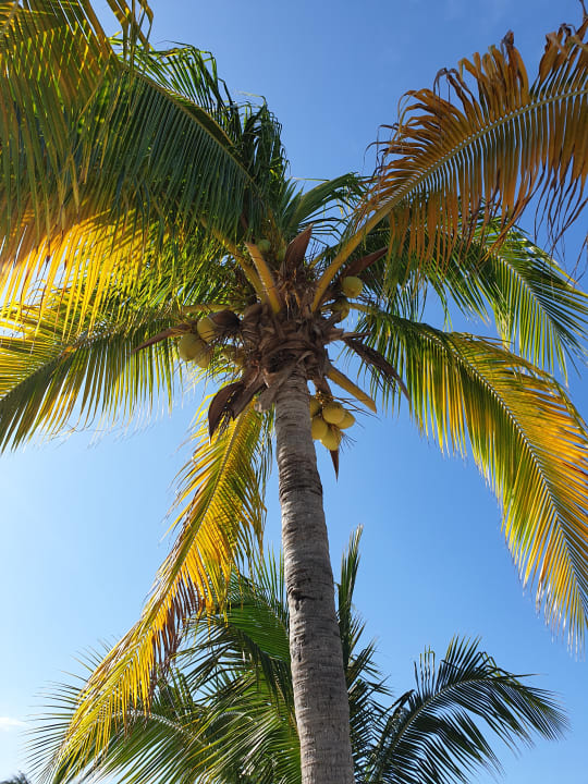 Sonstiges Melia Las Dunas