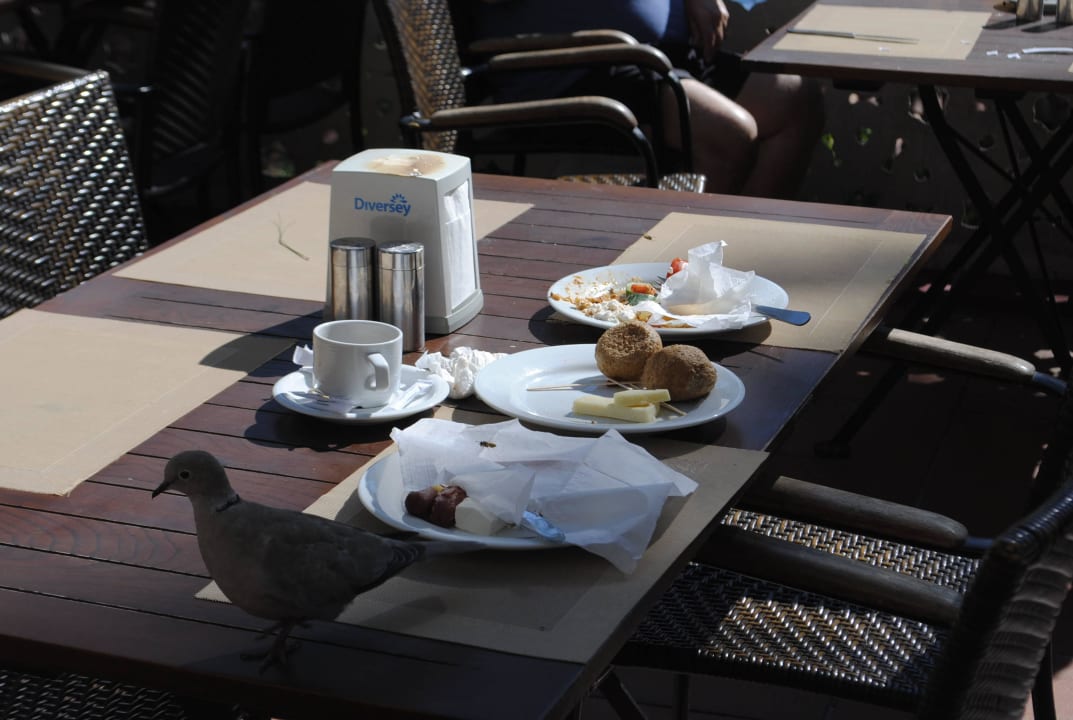 Es wurde einfach nicht sauber gemacht Grand Yazici Club Marmaris Palace