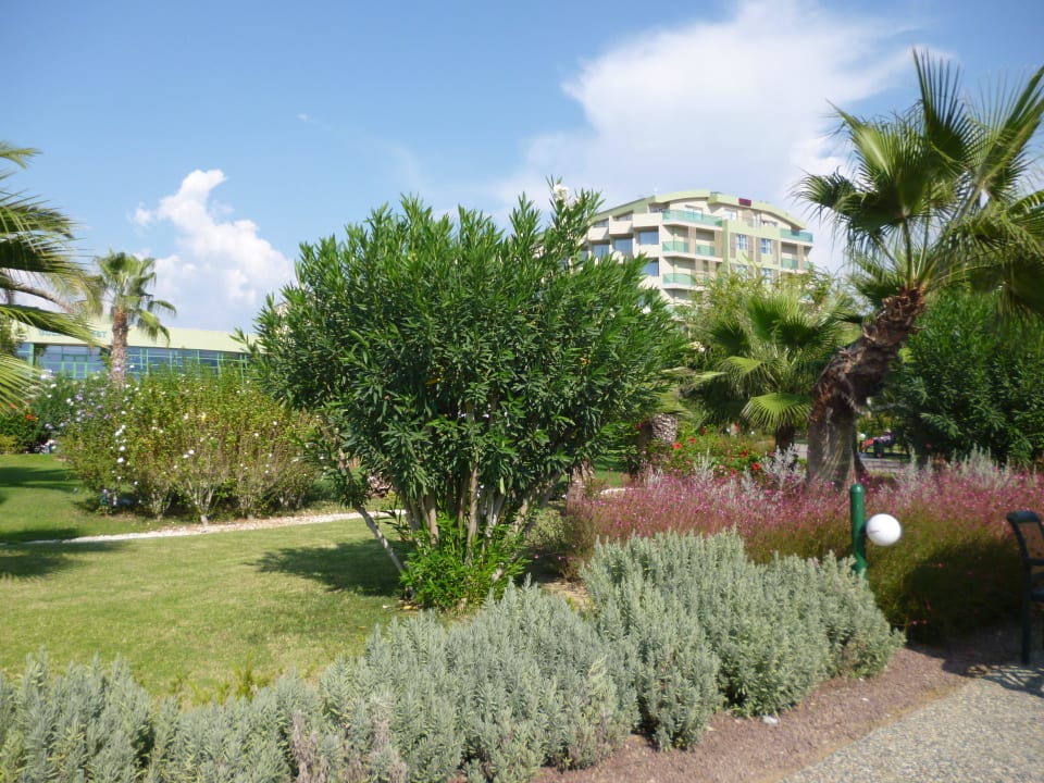 Grosszügige Gartenanlage VONRESORT Golden Coast