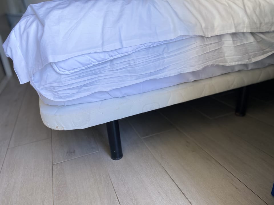 Zimmer Grupotel Alcudia Pins