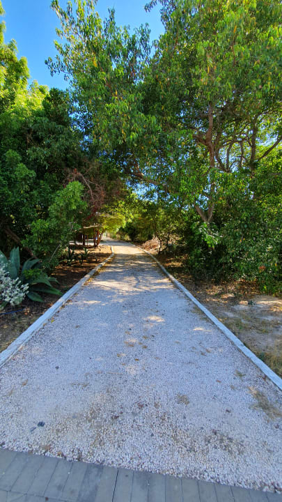 Gartenanlage Don Genaro Apartments