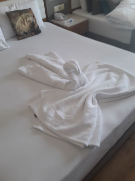 Zimmer Palm World Side Resort & Spa