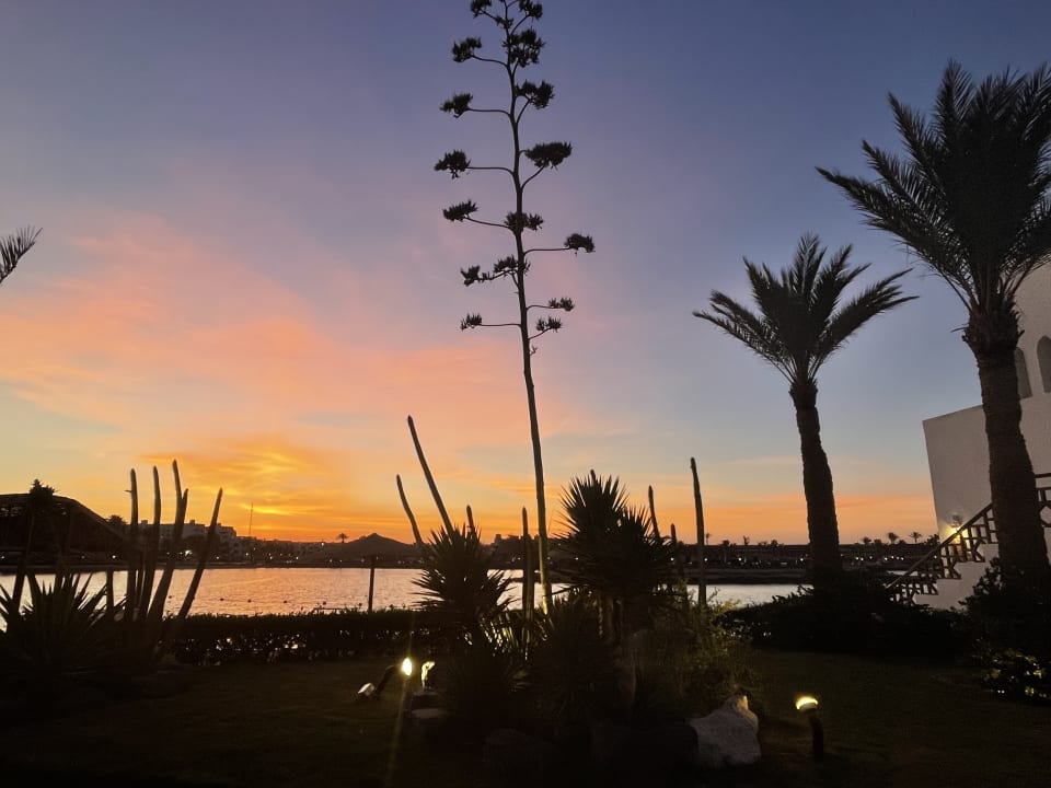 Gartenanlage Arabella Azur Resort