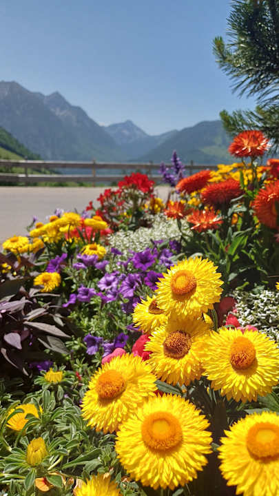 Gartenanlage Oberjoch - Familux Resort