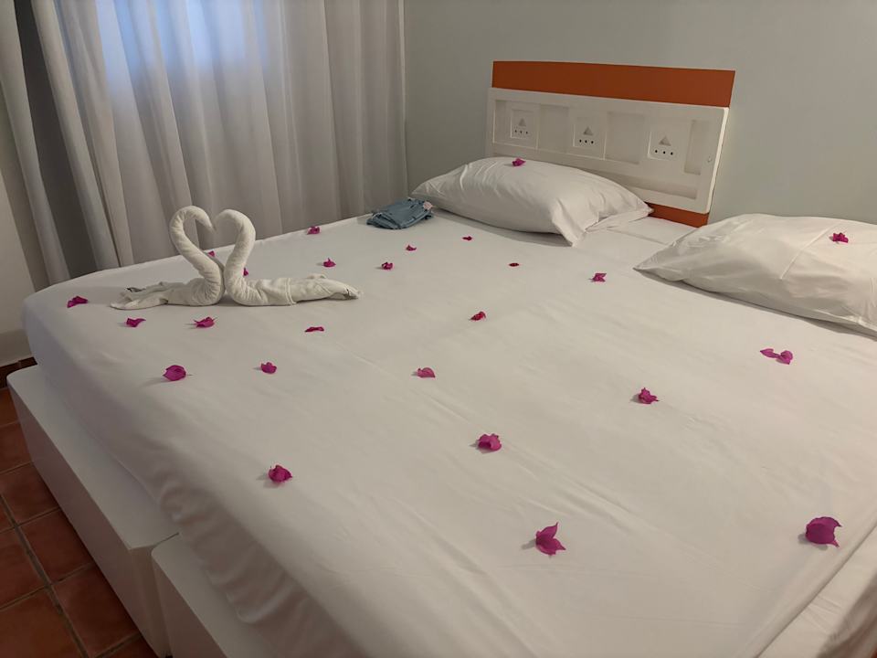 Zimmer JAZ Neo Reef Marsa