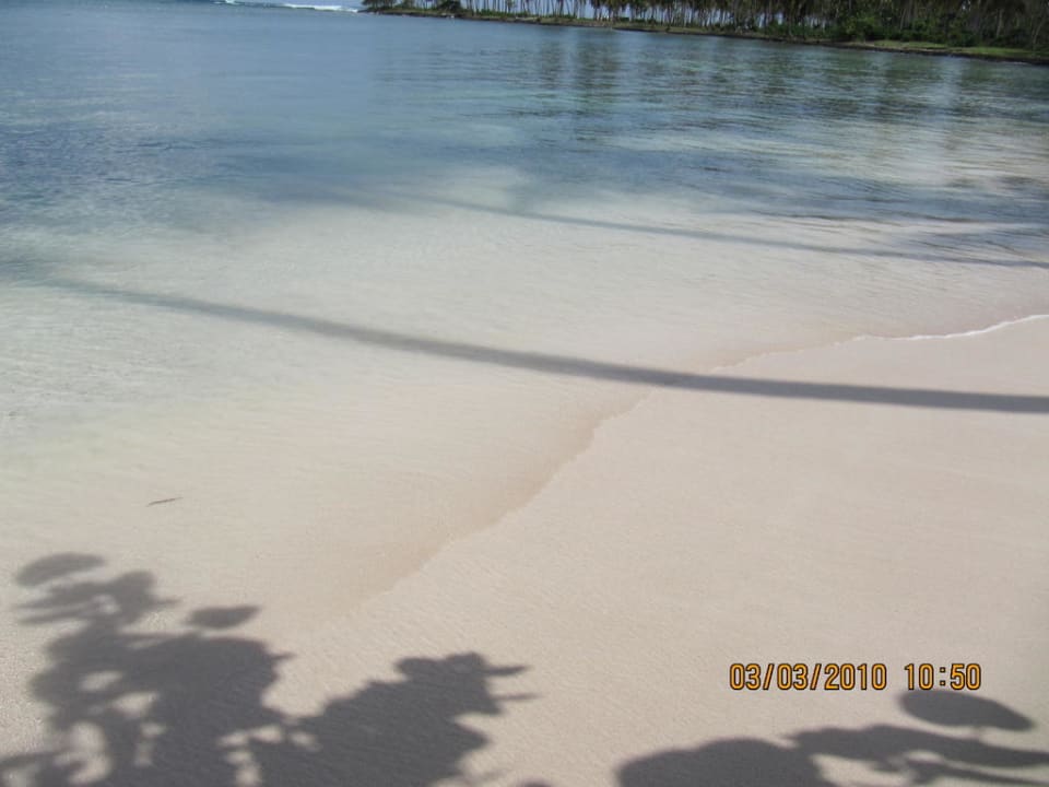Der Traumstrand  Wyndham Alltra Samana