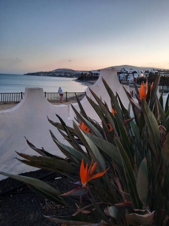 Ausblick SBH Costa Calma Beach Resort