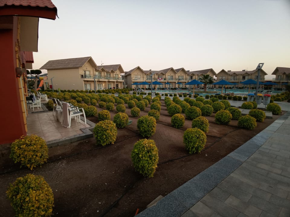 Gartenanlage Pickalbatros Jungle Aqua Park Resort - Neverland Hurghada