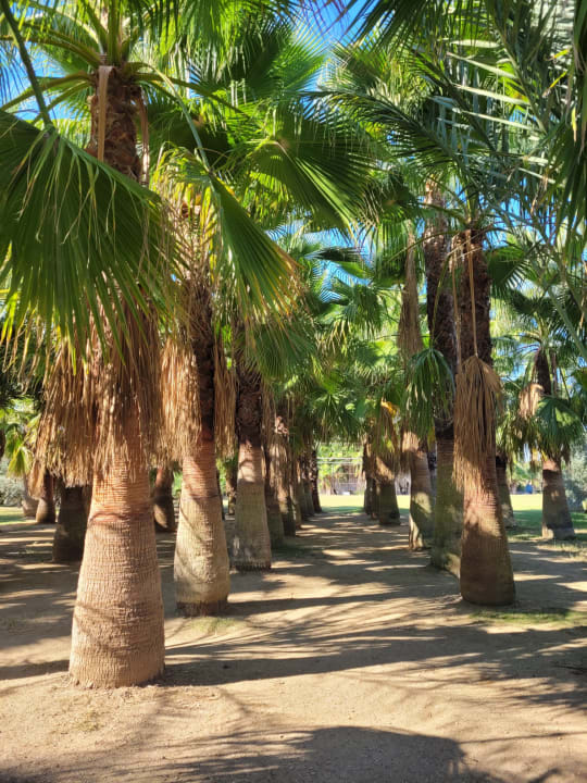 Gartenanlage Seaden Sea World Resort & Spa