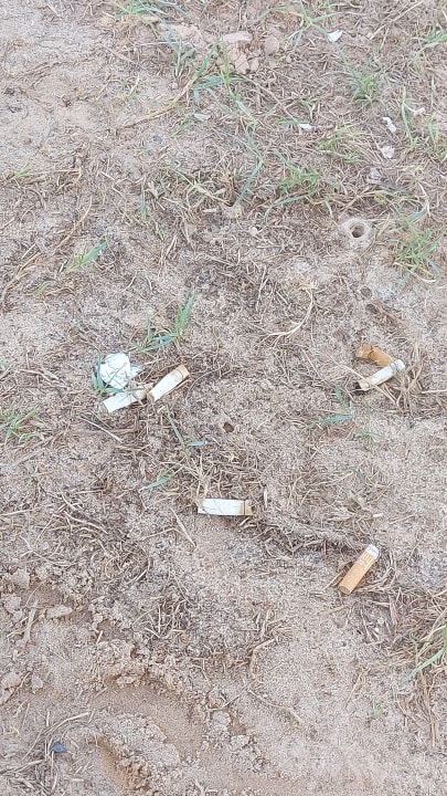 Außenansicht TUI MAGIC LIFE Penelope Beach