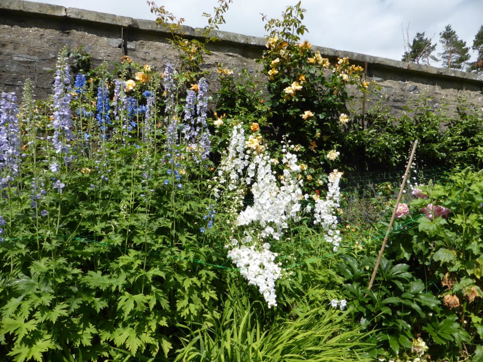 Blumen- und Pflanzengarten Hotel Atholl Palace