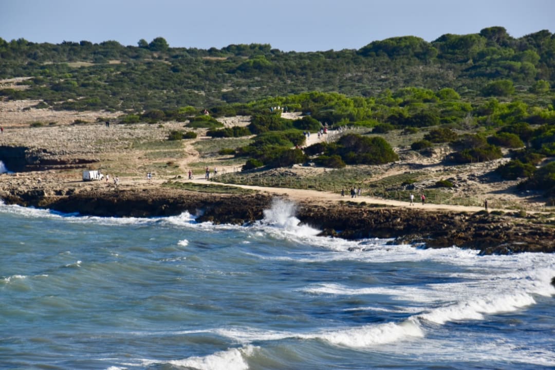 Ausblick Hipotels Hipocampo Playa