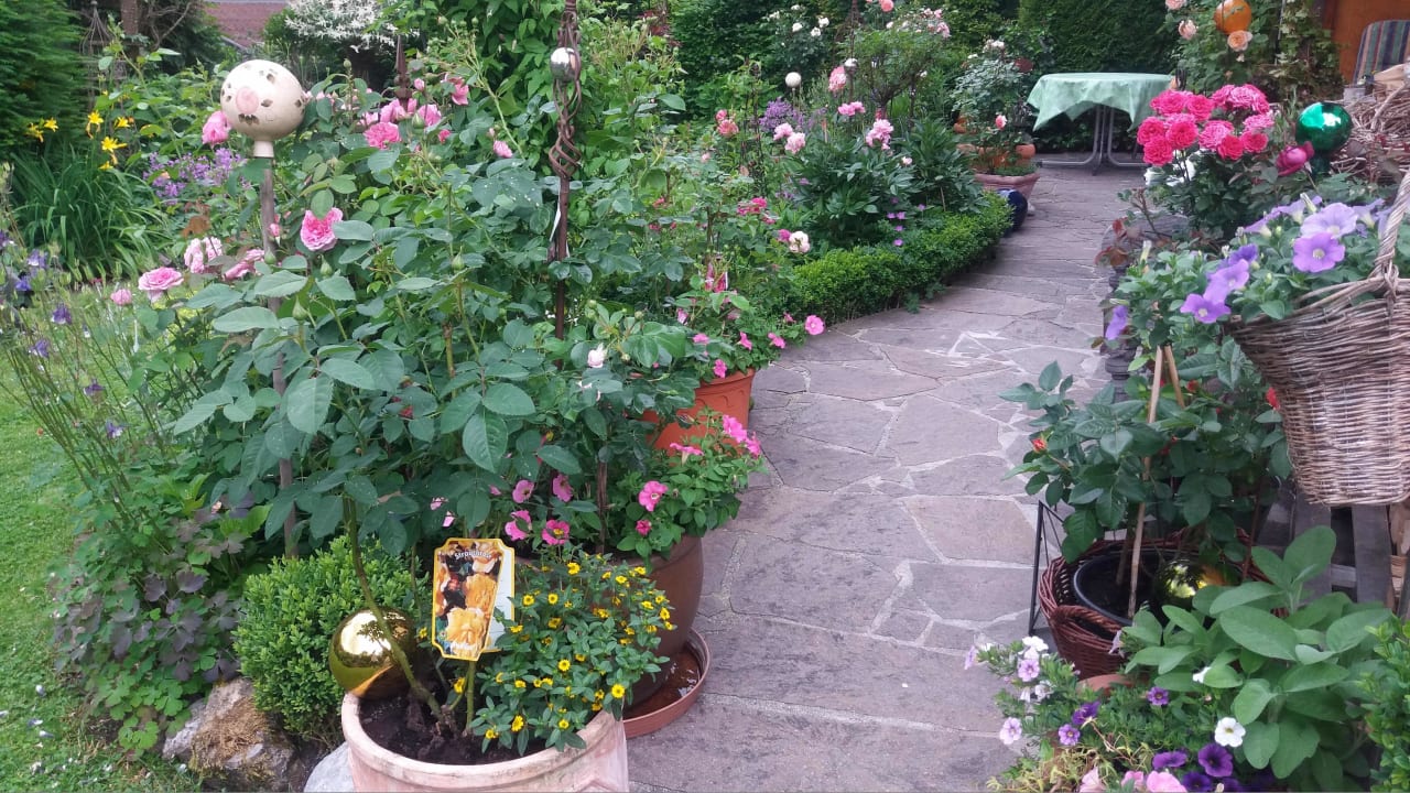 Terrasse Ferienwohnung Frick