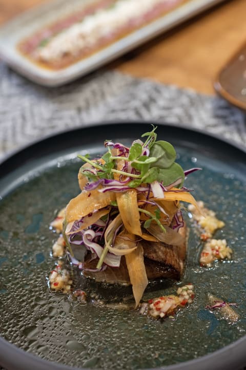 Gastro Liberty Signa