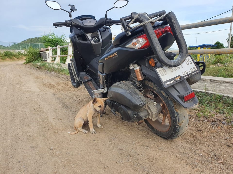 Sonstiges Novotel Lombok Resort & Villas