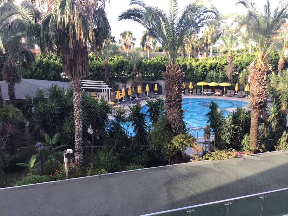 Zimmer Calimera Hane Garden