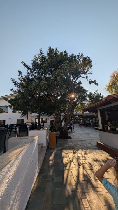 Außenansicht TUI SUNEO Chrissi Amoudia