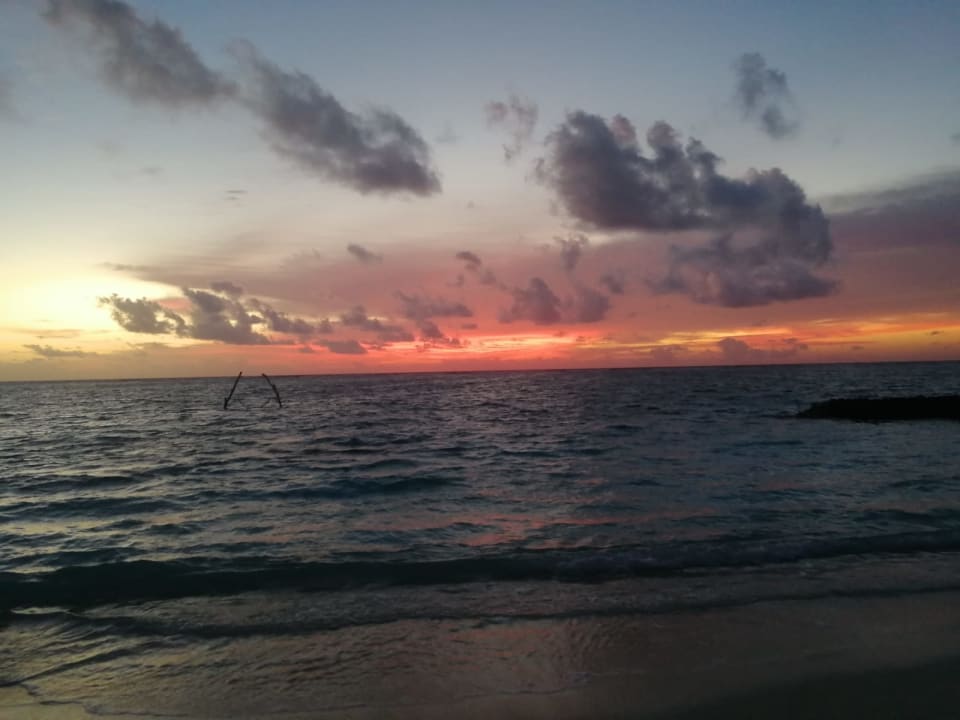 Strand Summer Island Maldives