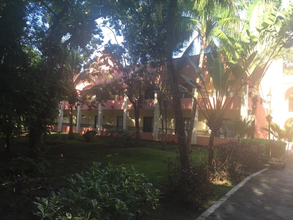 Einfach traumhaft Hotel Riu Tequila