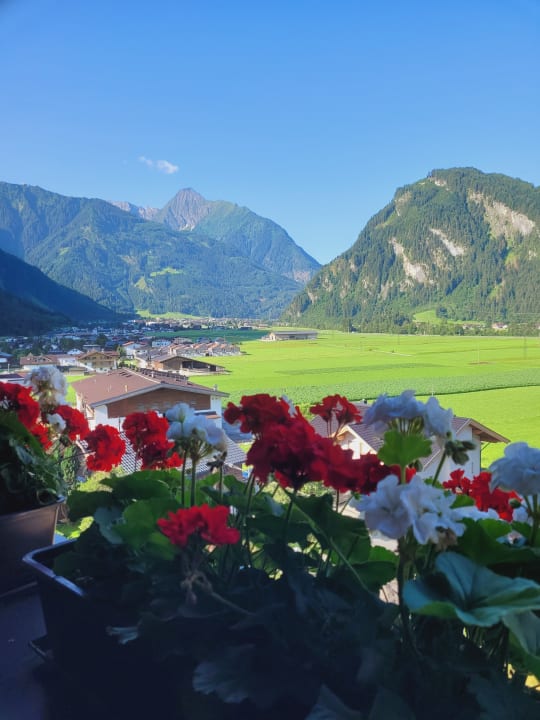 Ausblick Hotel Eckartauerhof
