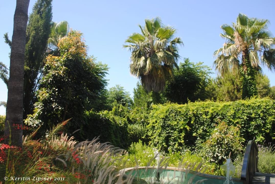 Palmen Can Garden Beach